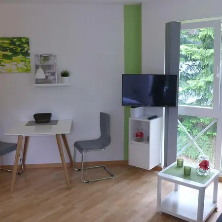 Appartement Schultz - Gruene Aue Braunlage Exterior photo