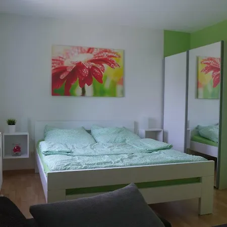 Appartement Schultz - Gruene Aue Braunlage Exterior photo