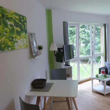 Appartement Schultz - Gruene Aue Braunlage Exterior photo