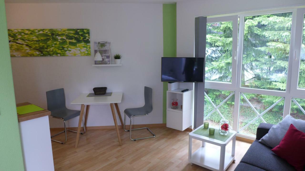 Schultz - Grüne Aue Apartment *